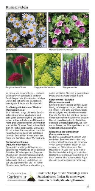 Gartenbrief Nr. 16 - Manufactum