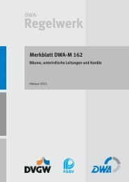 Vorschau (pdf) - DWA