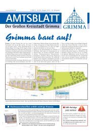 Download - Stadt Grimma