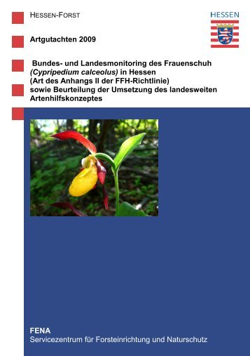 Artgutachten 2009 Bundes- und Landesmonitoring ... - Hessen-Forst