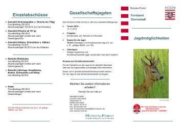 Jagdflyer [PDF, 496 KB] - Hessen-Forst