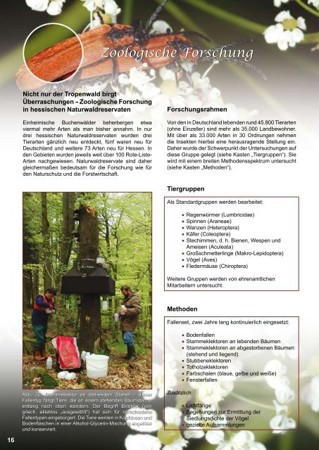 Naturwaldreservate in Hessen Naturwaldreservate - Hessen-Forst