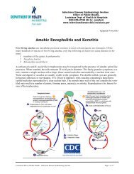 Amebic Encephalitis and Keratitis - Louisiana Department of Health ...