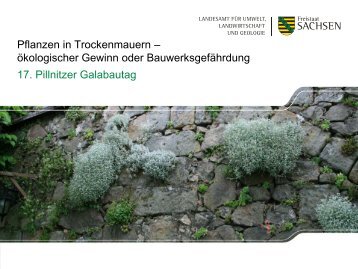 Download,*.pdf, 2,96 MB - Landwirtschaft in Sachsen
