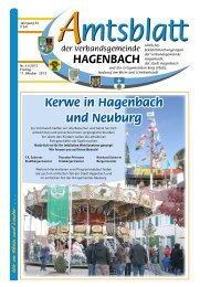 41/2013 - Stadt Hagenbach