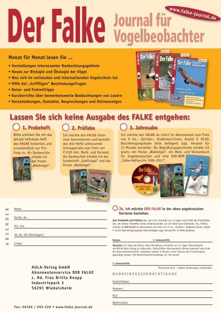 PDF 1,2 MB - Der Falke