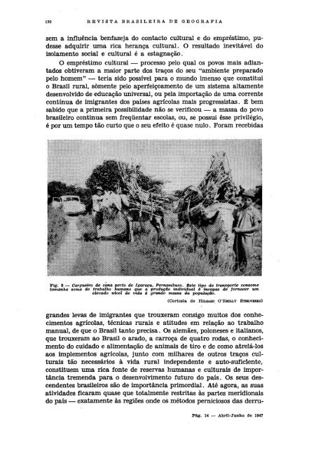 REVISTA BRASILEIRA DE GEOGRAFIA - Biblioteca do IBGE