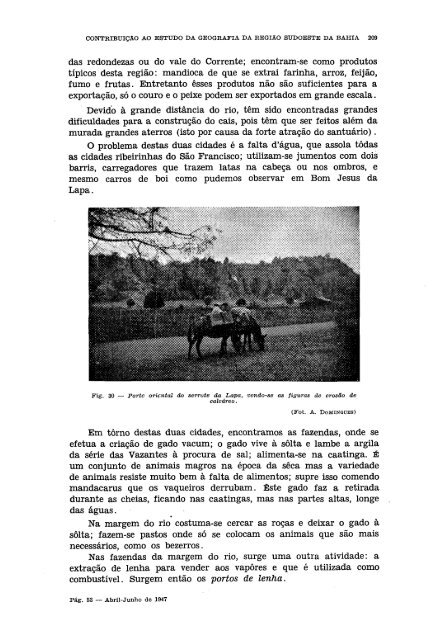 REVISTA BRASILEIRA DE GEOGRAFIA - Biblioteca do IBGE