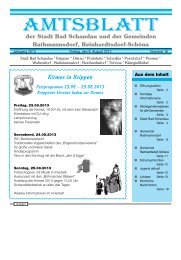 Ausgabe 32. KW 2013 - Bad Schandau
