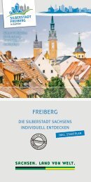 Individuell entdecken - Freiberg-Service