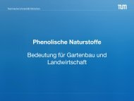 Phenolische Naturstoffe - Technische UniversitÃ¤t MÃ¼nchen