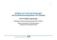 Pdf-Datei_Vortrag_Prof. Poppenberger - Technische UniversitÃ¤t ...