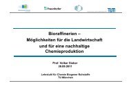 Bioraffinerien - Technische UniversitÃ¤t MÃ¼nchen