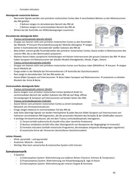 Skript zur Vorlesung „Biologische Psychologie“ (PD Dipl.-Psych. Dr ...