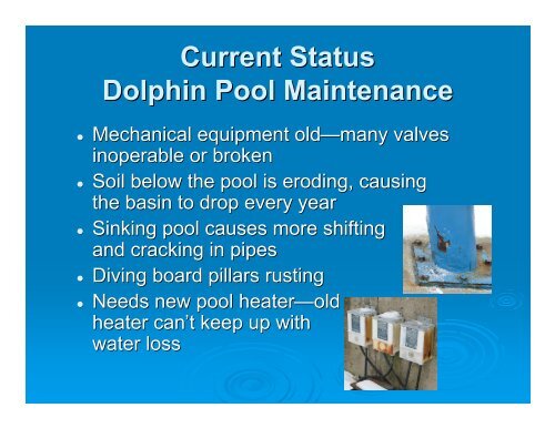 Outdoor Swimming Pool PowerPoint - Homewood Flossmoor Park ...