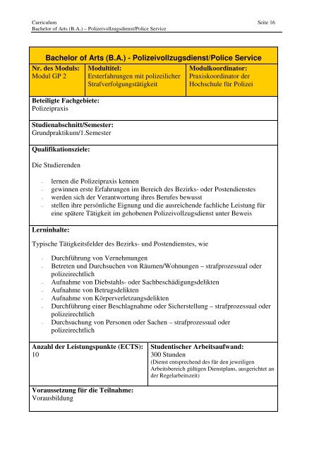 Curriculum 33. Jg. 16.01.2013.pdf - Hochschule für Polizei