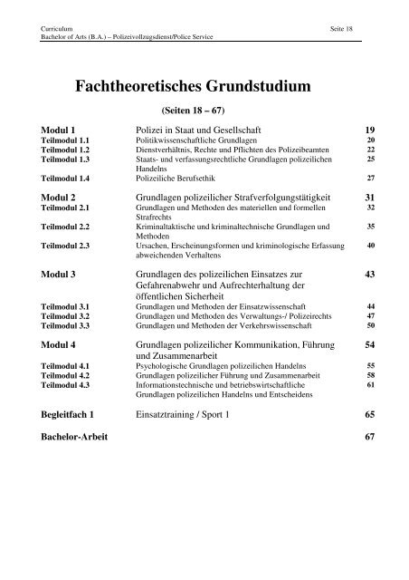 Curriculum 33. Jg. 16.01.2013.pdf - Hochschule für Polizei
