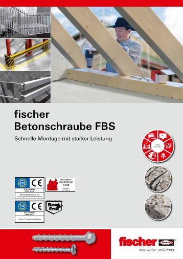 FBS 6 - Fischer