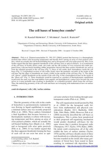 The cell bases of honeybee combs* - HAL