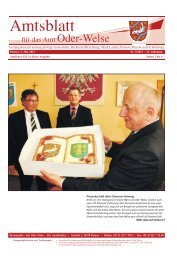 Amtlicher Teil - Amtsblatt vom 03. Mai 2013 - Amt Oder-Welse