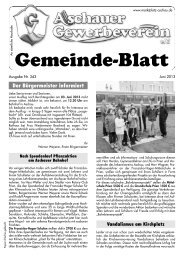 Ausgabe Nr. 343 - Gewerbeverein Aschau