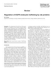Review Regulation of EGFR endocytic trafficking by rab proteins