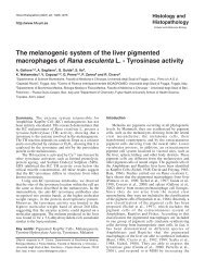 Tyrosinase activity - Histology and Histopathology