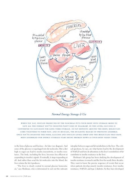 Download PDF - Howard Hughes Medical Institute