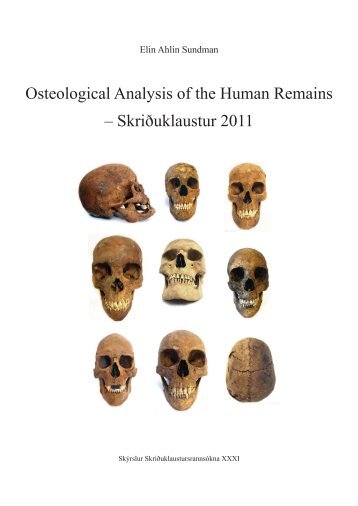 Osteological Analysis of the Human Remains â SkriÃ°uklaustur 2011