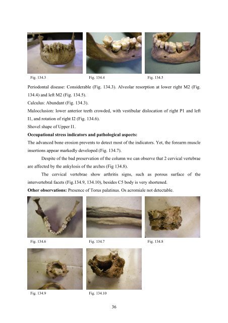 Anthropological description of skeletons from graves no. 123, 124 ...