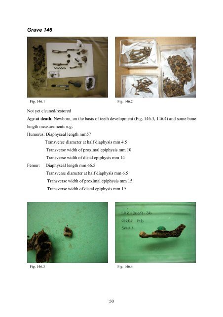 Anthropological description of skeletons from graves no. 123, 124 ...