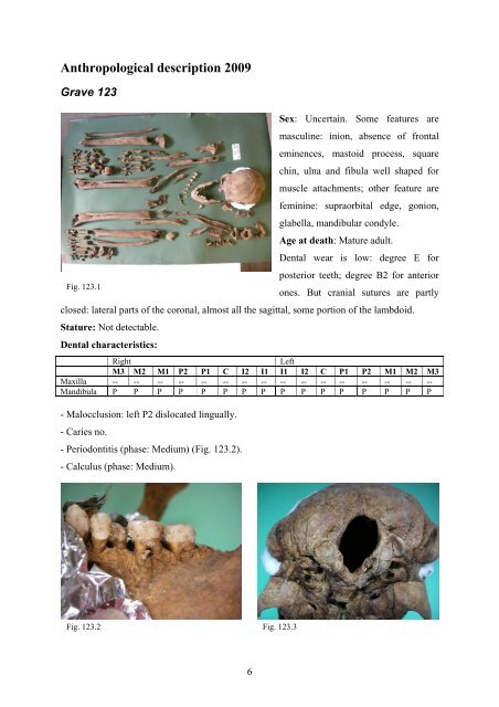 Anthropological description of skeletons from graves no. 123, 124 ...