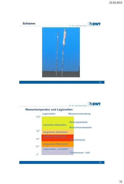 Gefährdungsanalyse, Sanierungsablauf und Maßnahmeplan