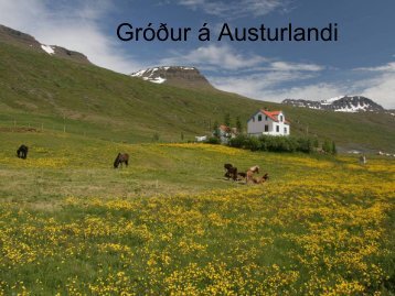 GrÃ³Ã°ur Ã¡ Austurlandi