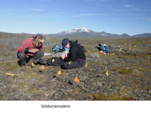 GrÃ³Ã°ur Ã¡ Austurlandi