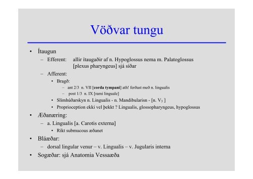 Anatomia