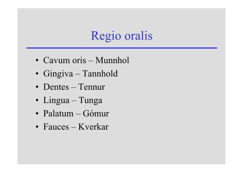 Anatomia