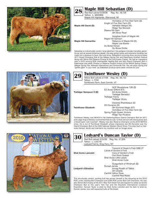 AHCA National Sale - American Highland Cattle Association