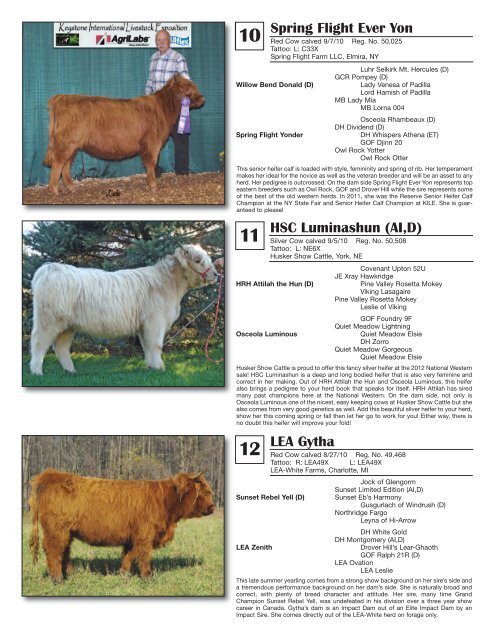 AHCA National Sale - American Highland Cattle Association