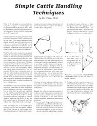 Simple Cattle Handling Techniques