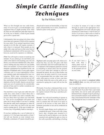 Simple Cattle Handling Techniques