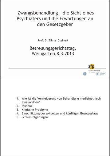 Präsentation von Prof. Dr. Tilman Steinert