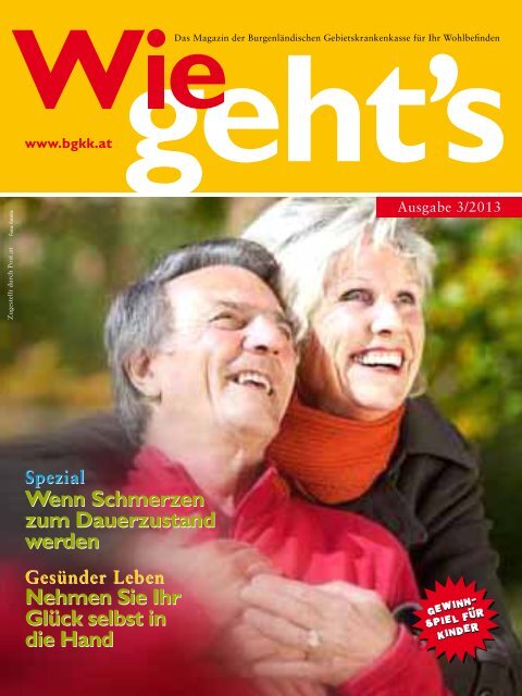 Wie geht´s 3-2013 - BGKK