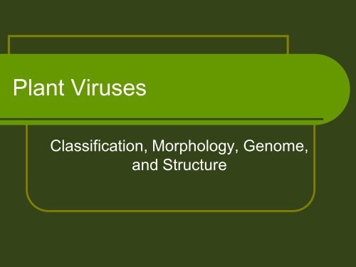 Lect. 6 composition & Architecture of plant viruses