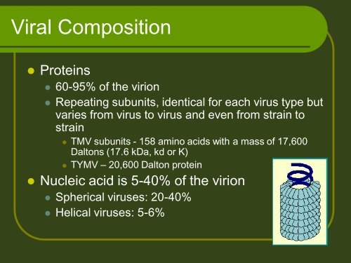 Lect. 6 composition & Architecture of plant viruses