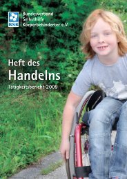 Tätigkeitsbericht 2009 - Bundesverband Selbsthilfe ...