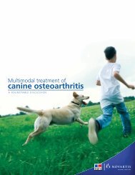 canine osteoarthritis - HillsVet