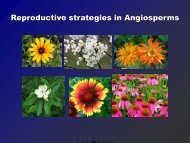 Reproductive strategies in Angiosperms