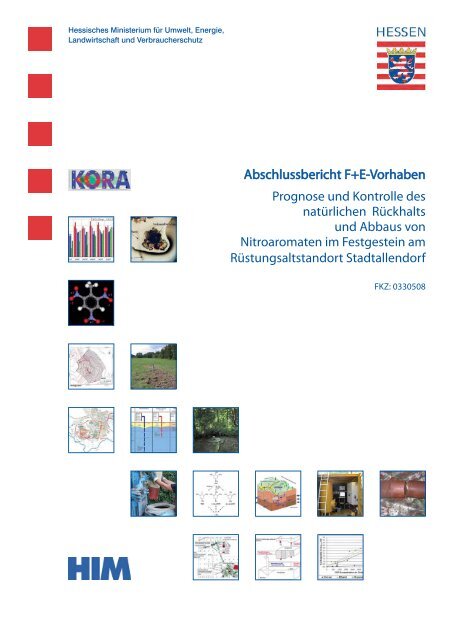 PDF-Download - HIM-ASG Altlastensanierung