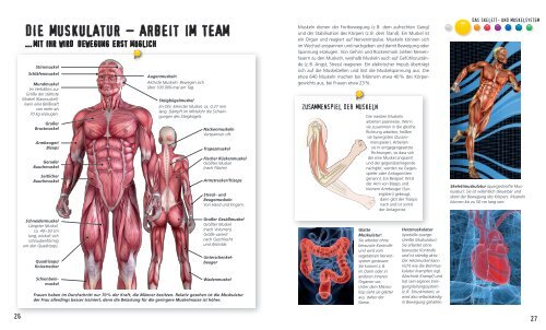 PDF "Das Skelett- und Muskelsystem"